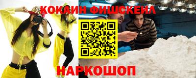 стафф Донецк