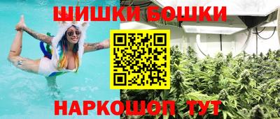 стафф Донецк