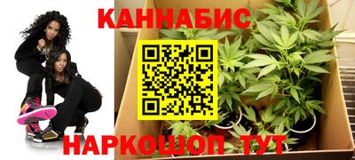 стафф Донецк